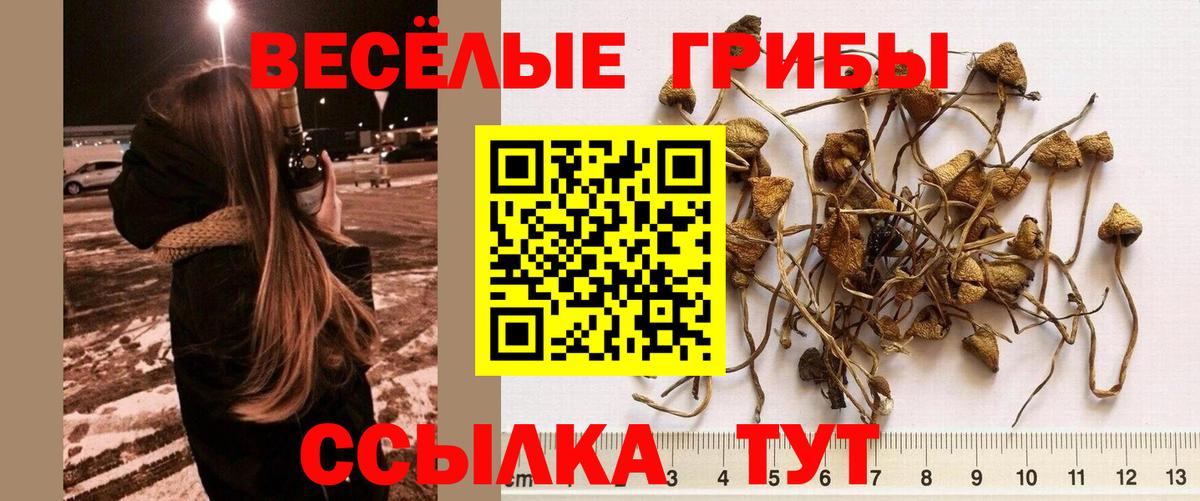 Малоярославец  цена наркотик  Вход с VPN  Галлюциногенные грибы GOLDEN TEACHER 